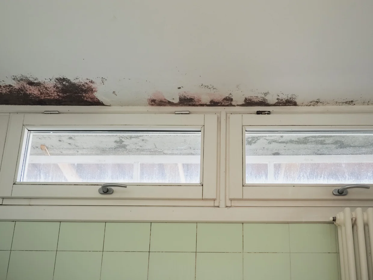 doorslaand vocht behandelen